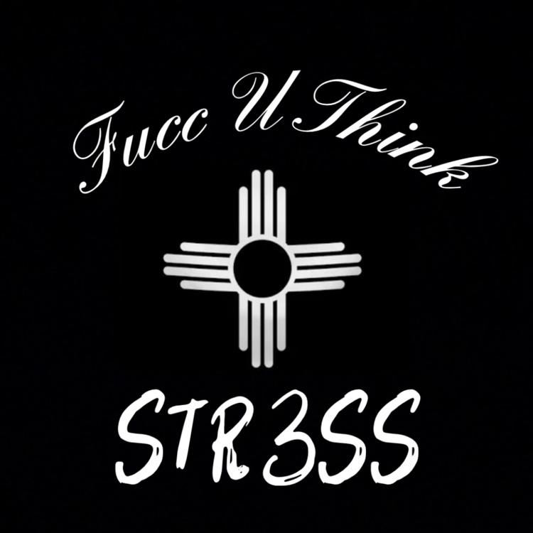 STR3SS's avatar image