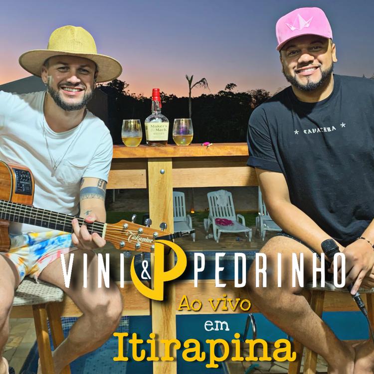 Vini & Pedrinho's avatar image