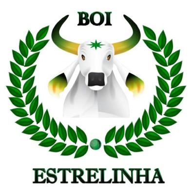 Parintins em Verde (Ao Vivo)'s cover
