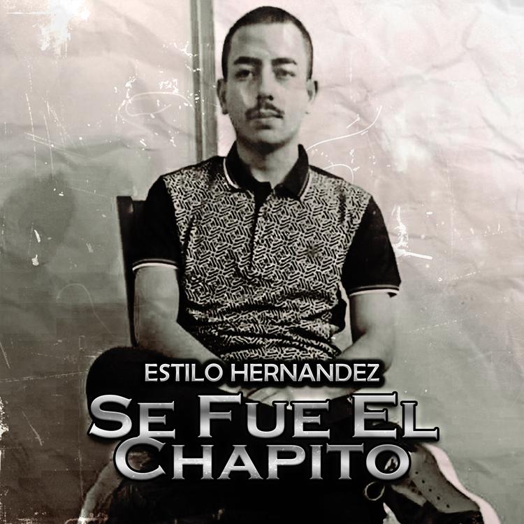 Estilo Hernandez's avatar image