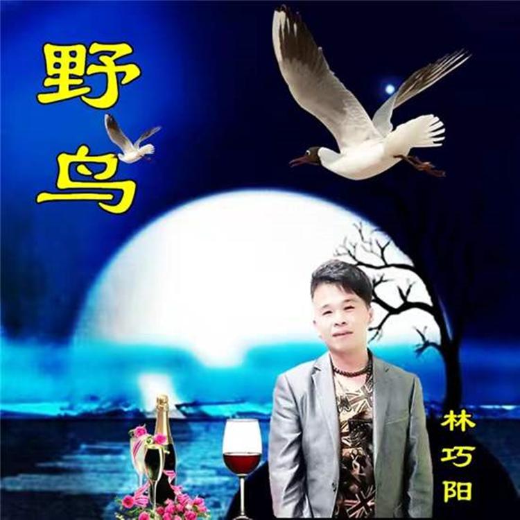 林巧阳's avatar image