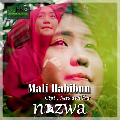 Mali Habibun's cover