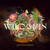 Joe Stamm Band's avatar cover