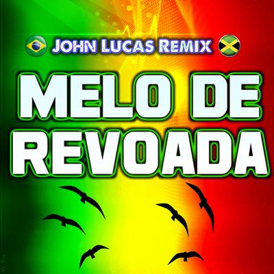 Melo de Revoada By John Lucas Remix's cover