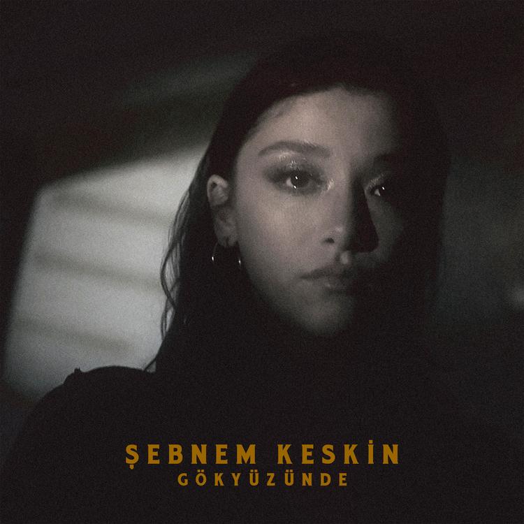 Şebnem Keskin's avatar image