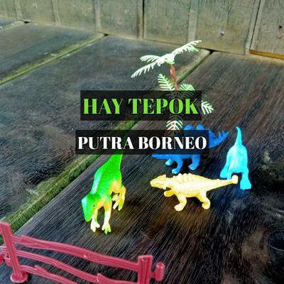 Hay Tepok (Live)'s cover