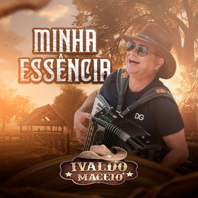 De Volta pro Meu Aconchego By Ivaldo Maceio's cover