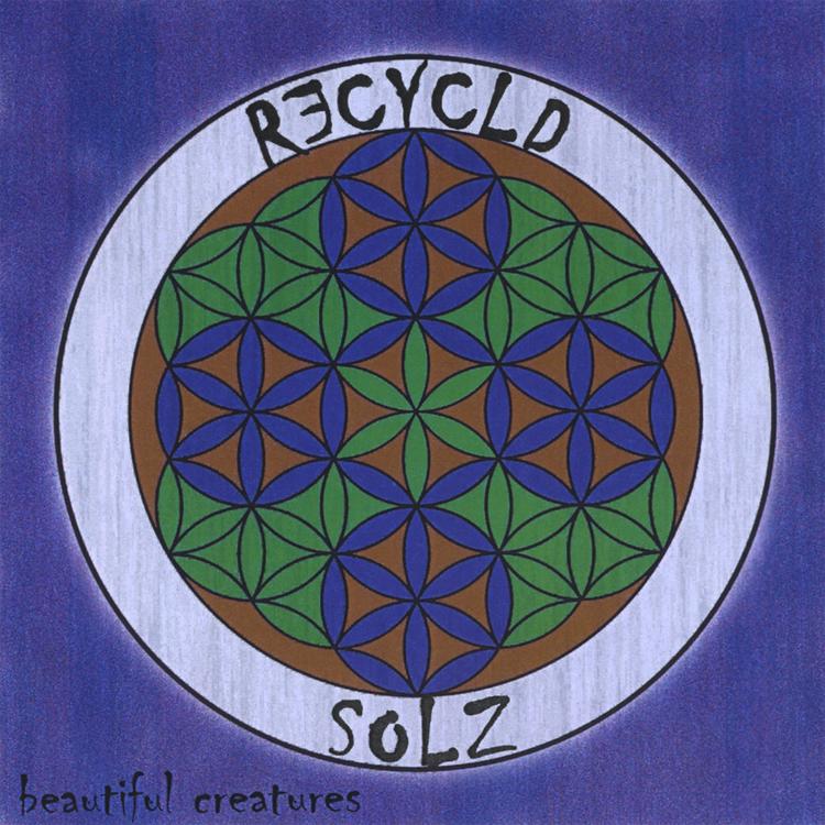 Recycld Solz's avatar image