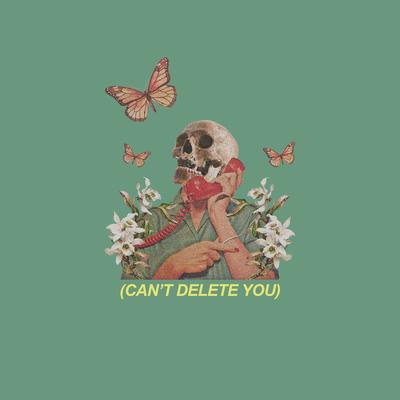 Can't Delete You's cover