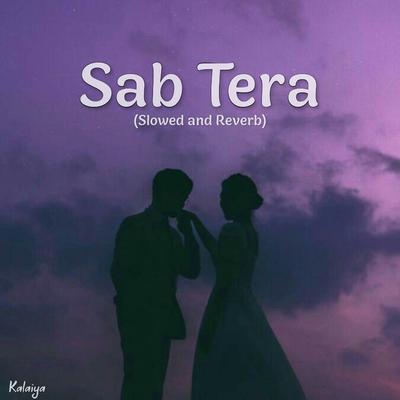 Sab Tera (Slowed and Reverb)'s cover