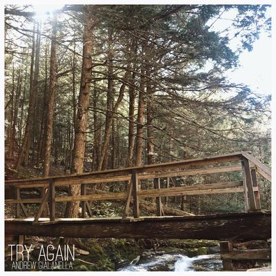 Try Again By Andrew Gialanella's cover