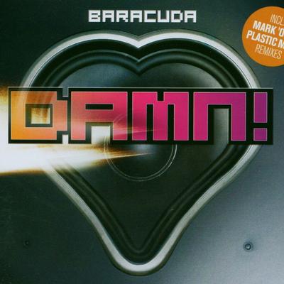 Damn! (Remember the Time) [2.4 Promille Short] By Baracuda's cover