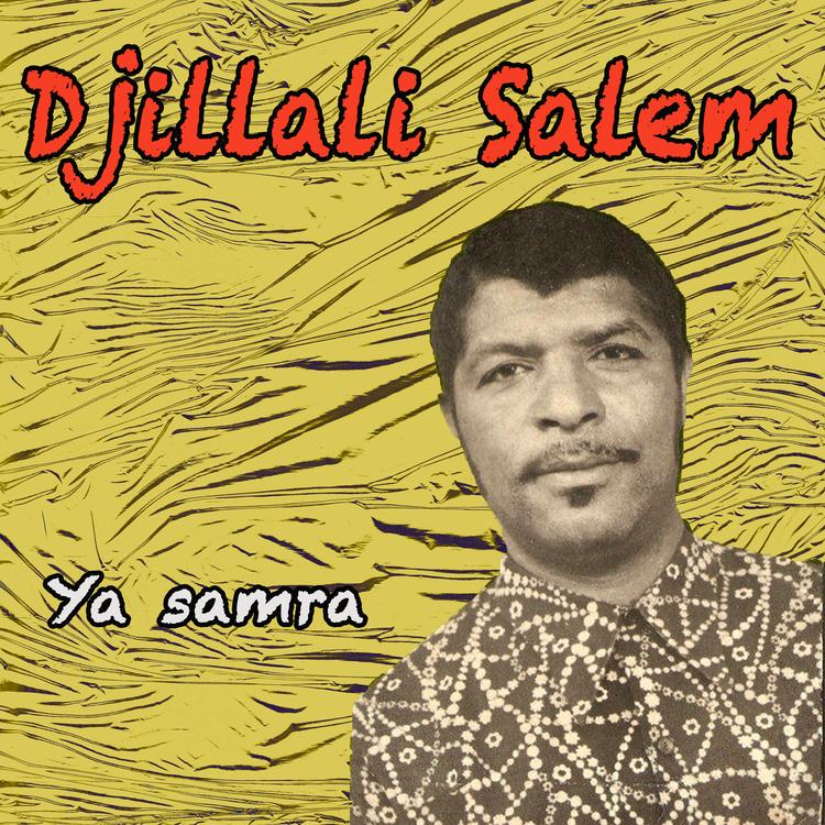 Djillali Salem's avatar image