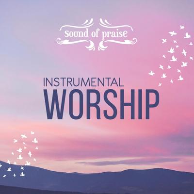 Sound of Praise Instrumental Worship's cover