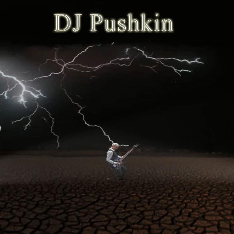 DJ Pushkin's avatar image