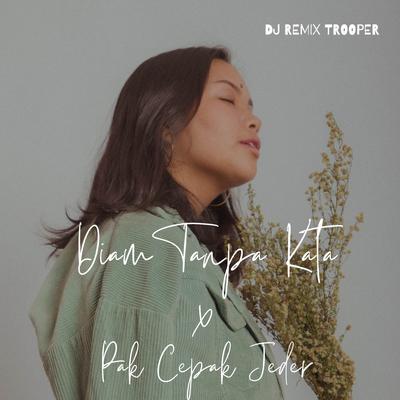 DJ Diam Tanpa Kata X Pak Cepak Cepak Jeder's cover