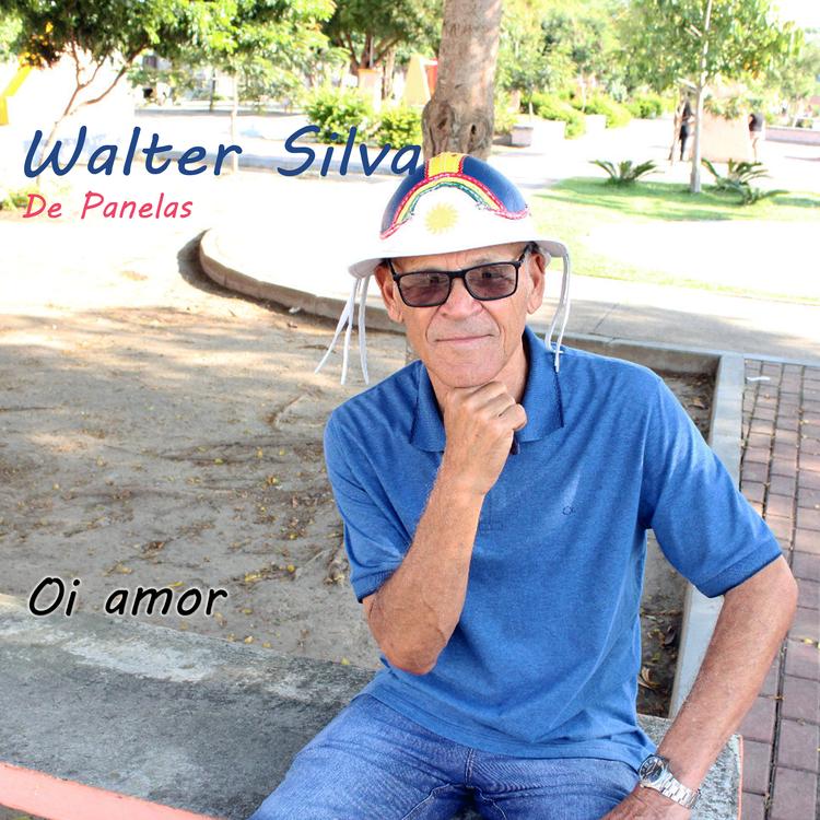 Walter Silva de Panelas's avatar image