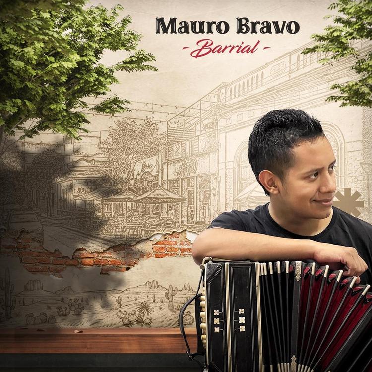 Mauro Bravo's avatar image