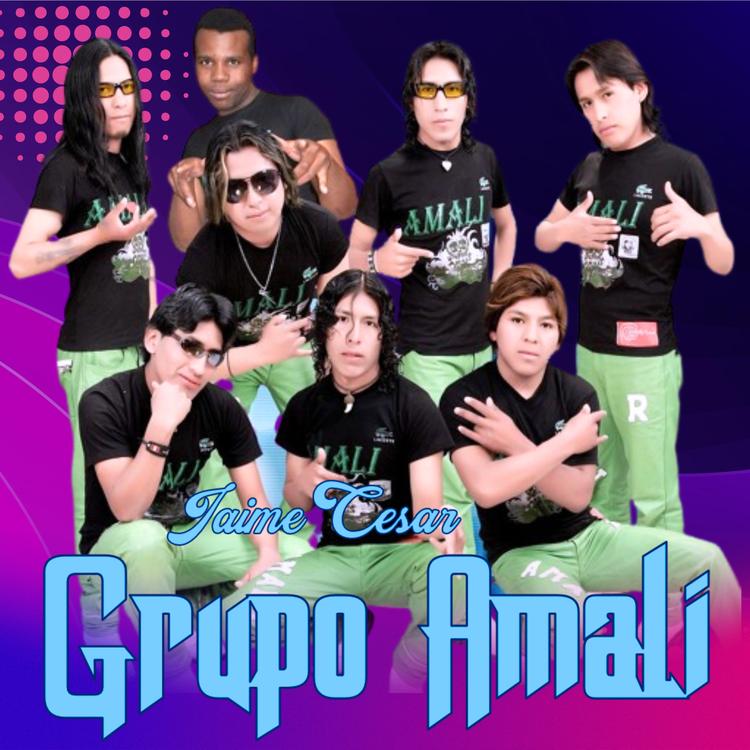 Grupo Amalí's avatar image