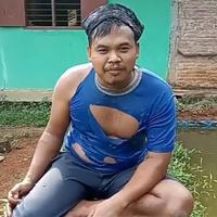 Nanonano | TikTok Music Search