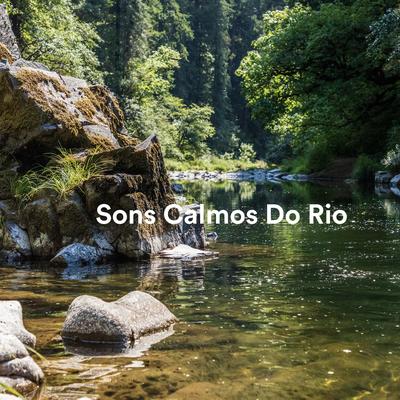 Sons Calmos Do Rio's cover