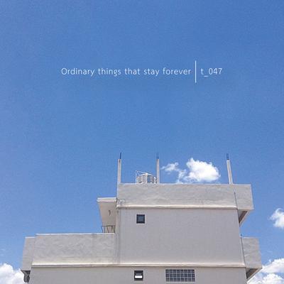 Ordinary Thing That Stay Forever's cover