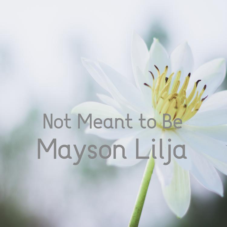 Mayson Lilja's avatar image
