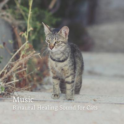 Alpha Brain and Soothing By RelaxMyCat, Binaural State, Cat Music Therapy's cover