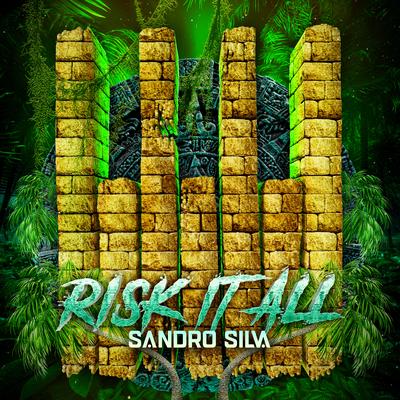 Risk It All By Sandro Silva's cover