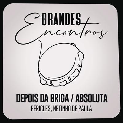 Depois da Briga / Absoluta By Grandes Encontros, Péricles, Netinho De Paula's cover