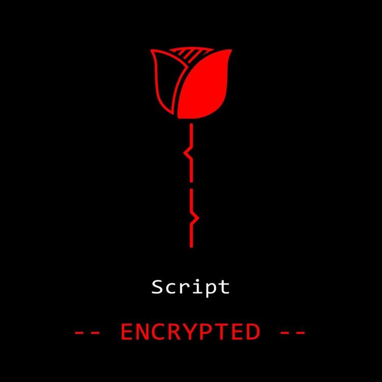 Script's avatar image