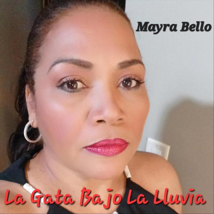 Mayra Bello's avatar image