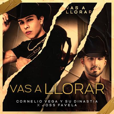 Vas a Llorar By Joss Favela, Cornelio Vega y su Dinastia's cover