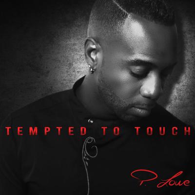 Tempted to Touch By P. Lowe's cover