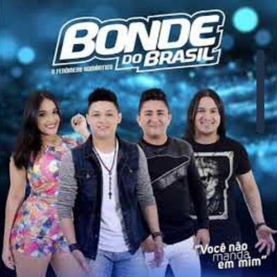 Você Não Manda em Mim By Bonde do Brasil's cover