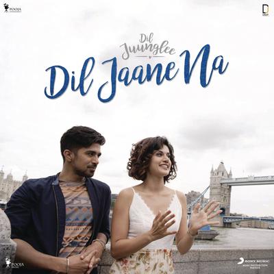 Dil Jaane Na's cover