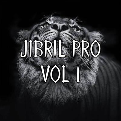 DJ Mashup Old Vol 1 -inst's cover