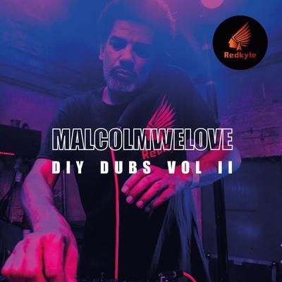 DIY Dubs Vol 2's cover