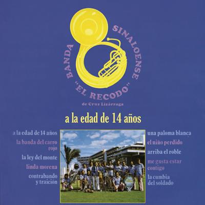 Banda Sinaloense el Recodo de Cruz Lizárraga's cover