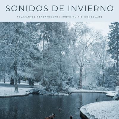Está Nevando By Sonidos De Agua, Aguas Pura, Calma's cover