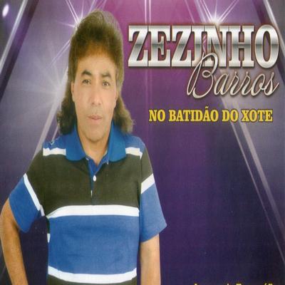 Xote Ecológico By Zezinho Barros's cover