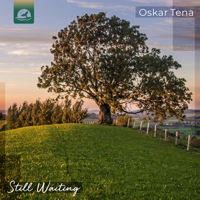 Still Waiting By Oskar Tena's cover