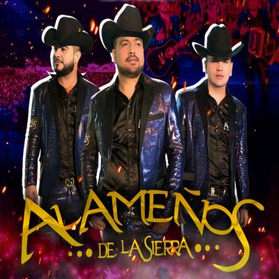 Los 3 Amarradores (En Vivo)'s cover