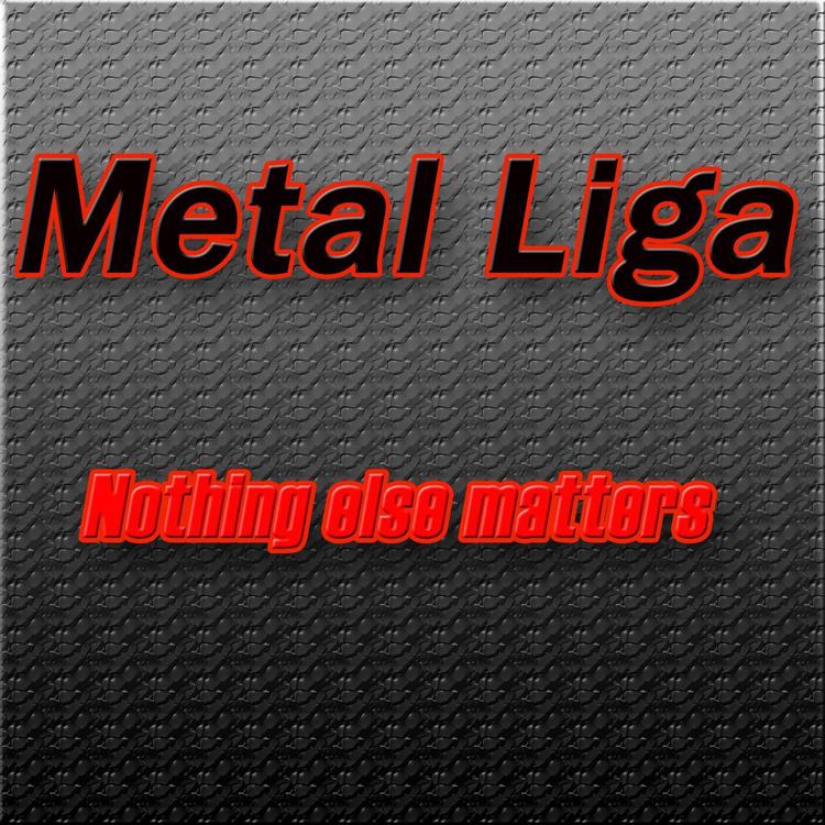 Metal Liga's avatar image