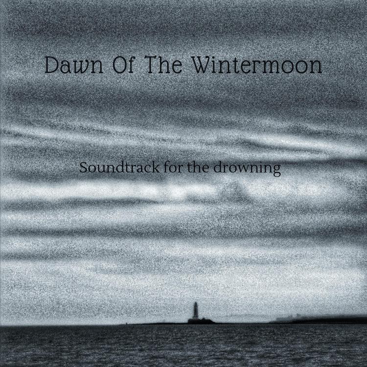 Dawn Of The Wintermoon's avatar image
