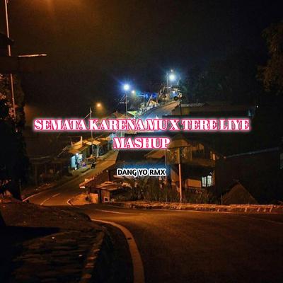 SEMATA KARENA MU / TERE LIYE MASHUP's cover