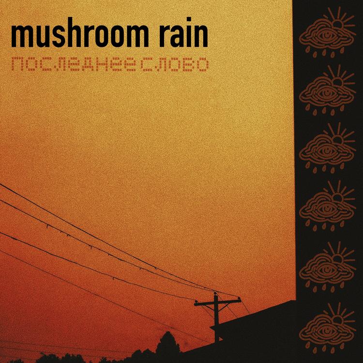Mushroom rain's avatar image