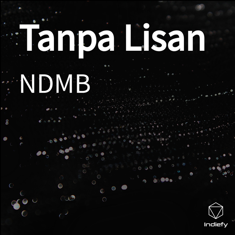 NDMB's avatar image