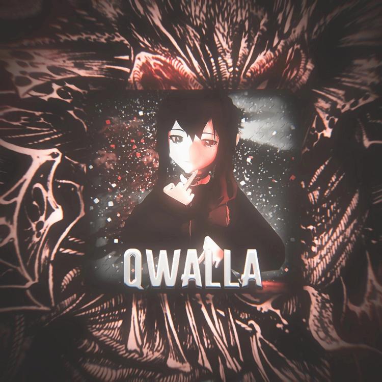 QWALLA's avatar image