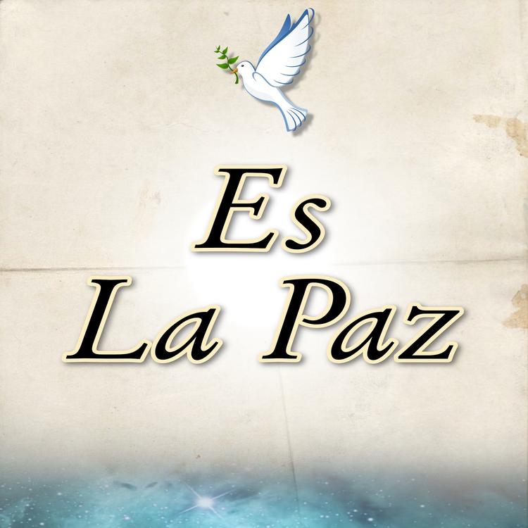 Es La Paz's avatar image